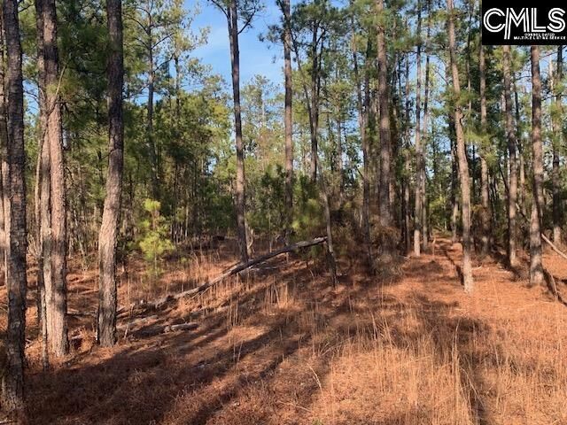 Property Photo:  256 Willie Wilson  SC 29044 