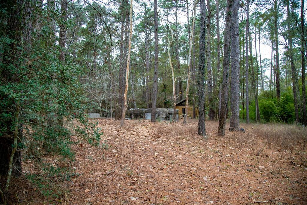 Property Photo:  16438 Grand Flower Road  TX 77363 