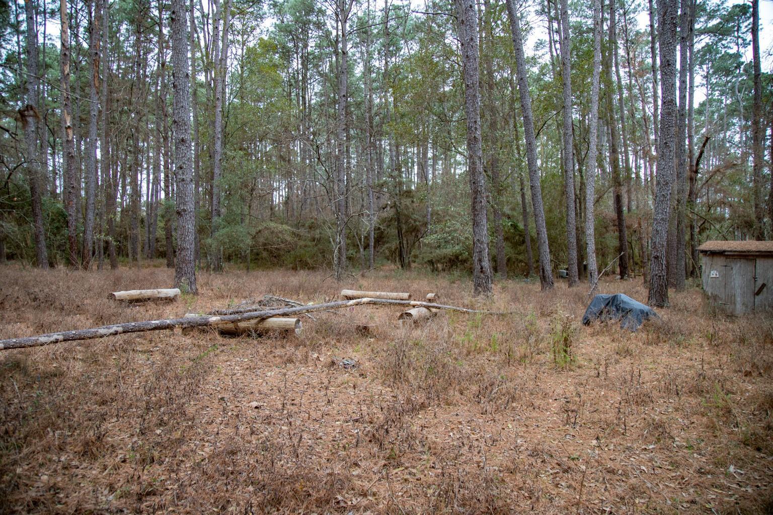 Property Photo: 16438 Grand Flower Road TX 77363
