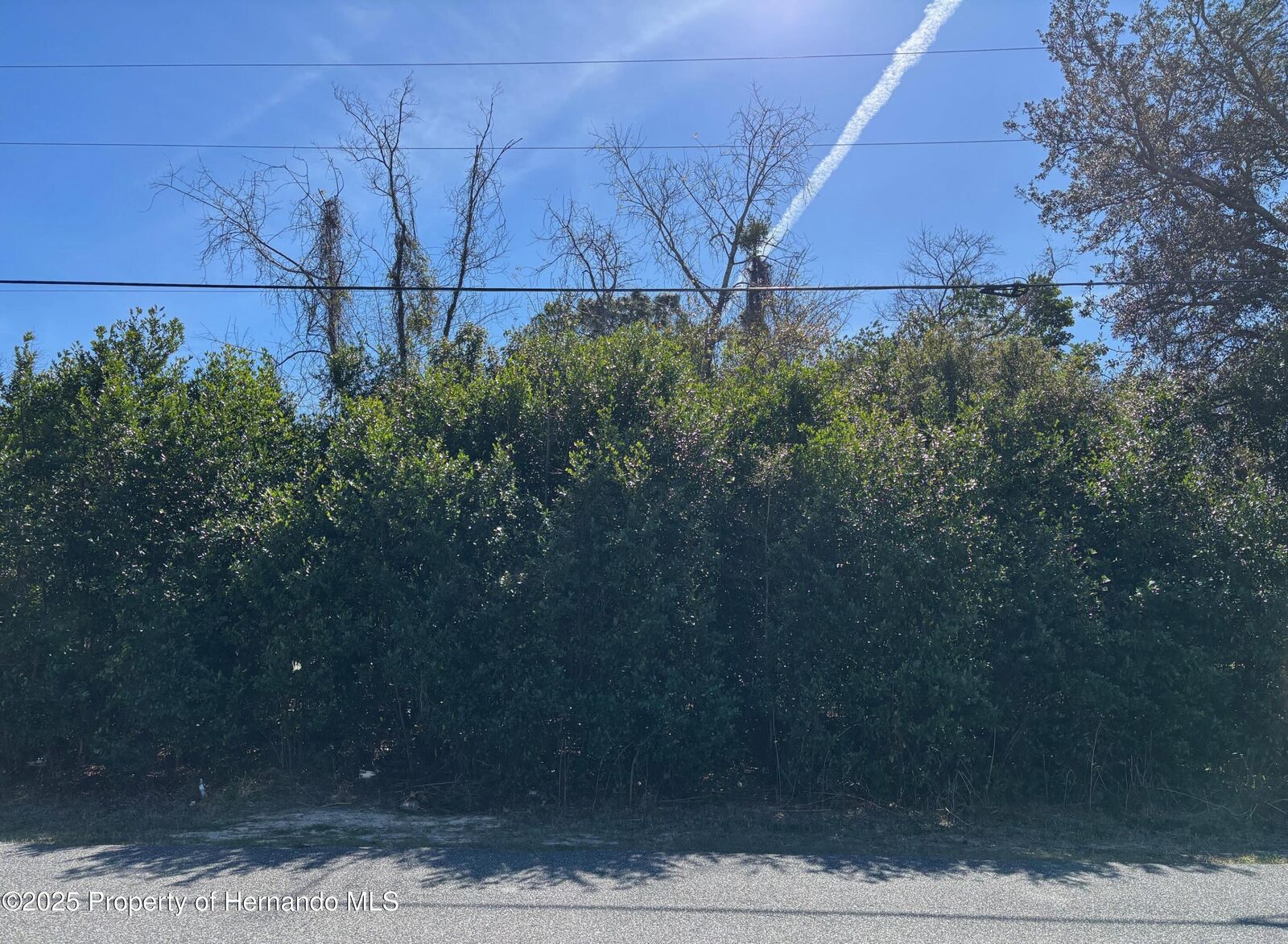 Property Photo:  Lot 9 Portsmouth Street  FL 34609 