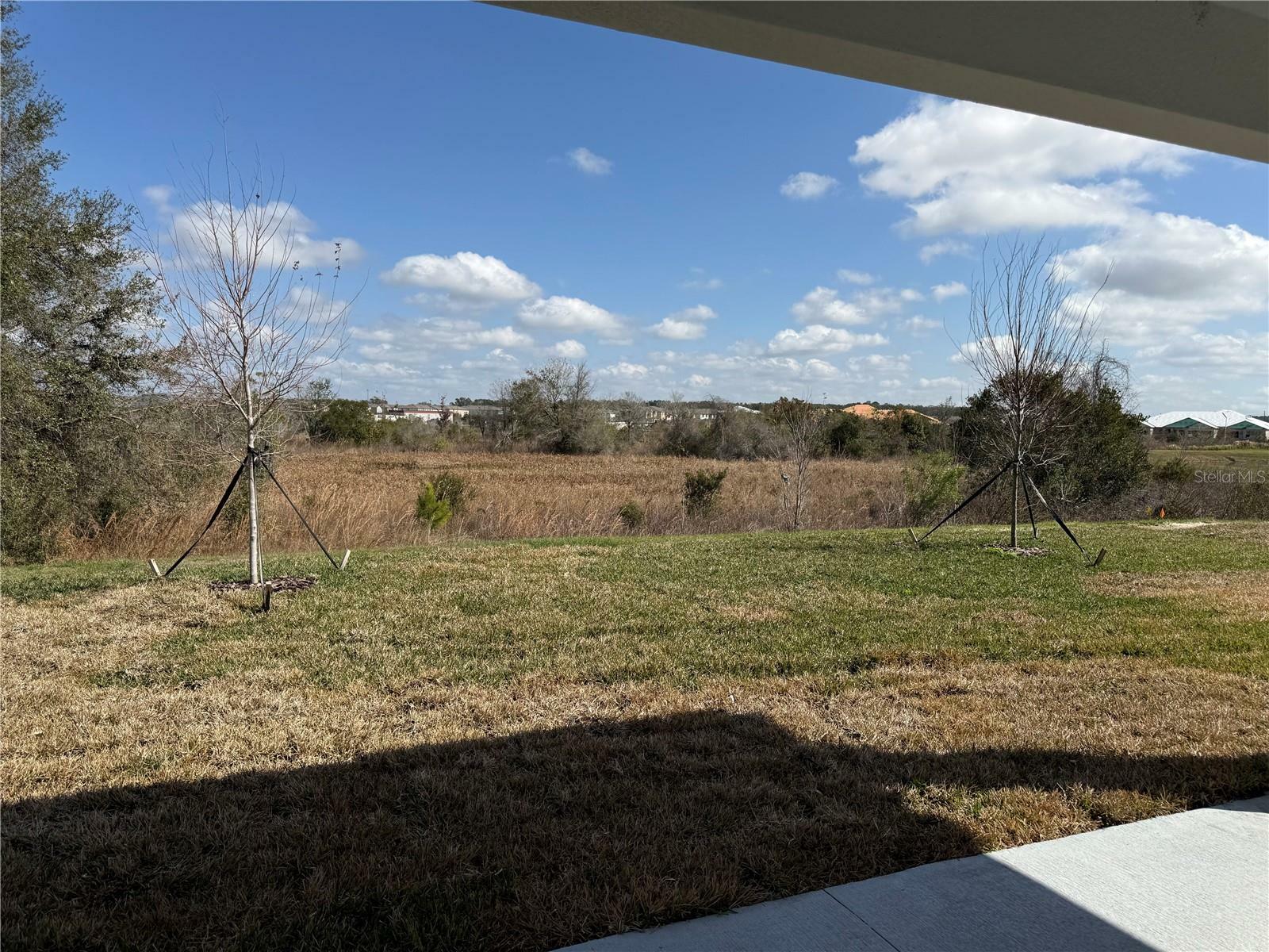 Property Photo:  31819 Cardinal Yard Drive  FL 33576 