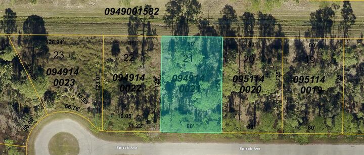 Property Photo: Spisak Avenue FL 34291