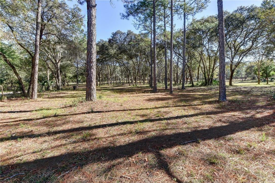 Property Photo:  390 Foothill Farms Road  FL 32763 