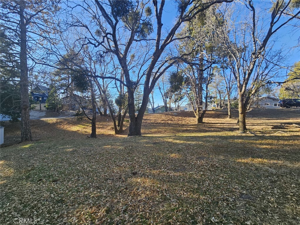 Property Photo: 0 Live Oak Drive CA 92382