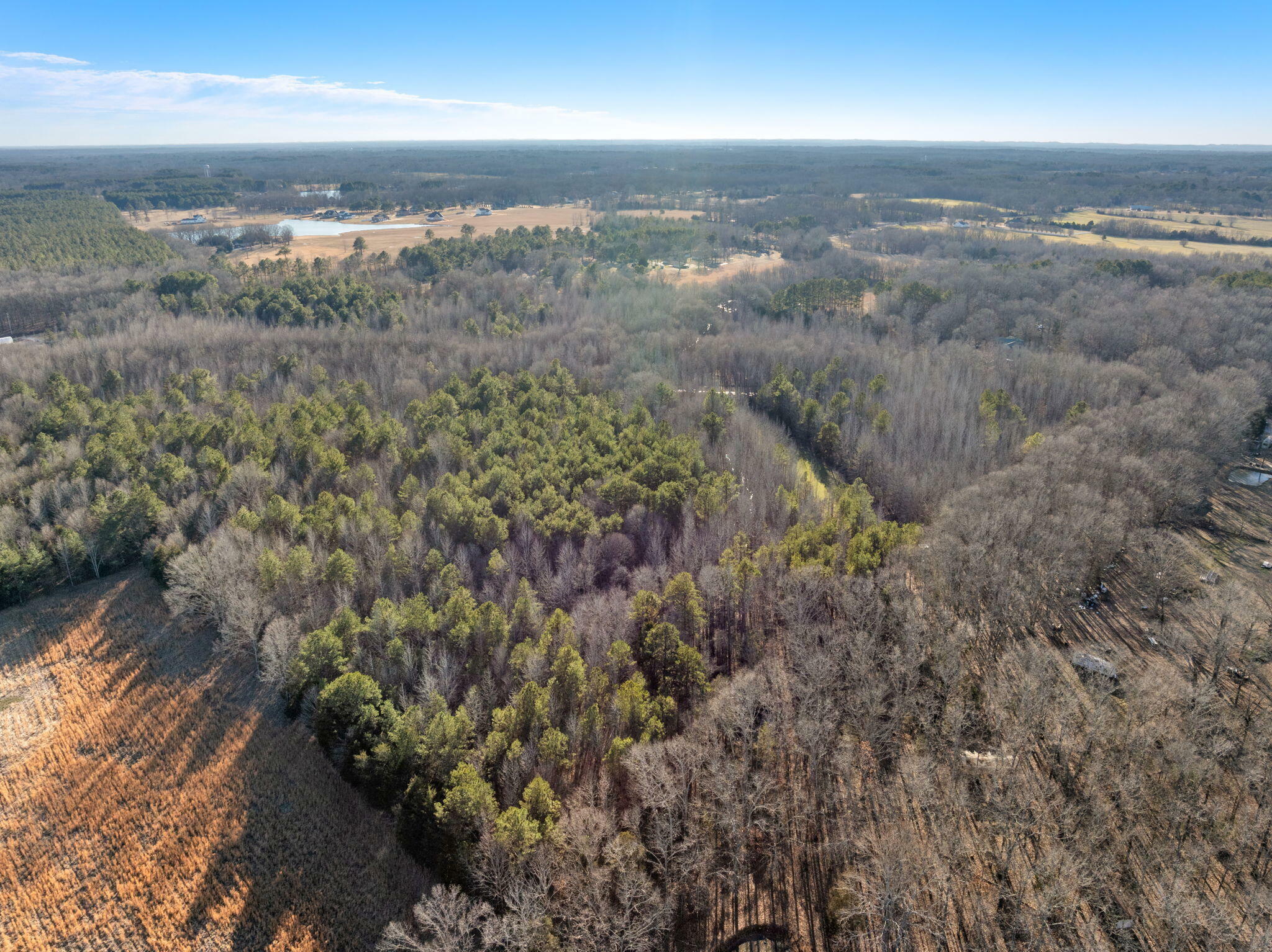 Property Photo:  Lot 2 0 John George Loop  TN 38357 