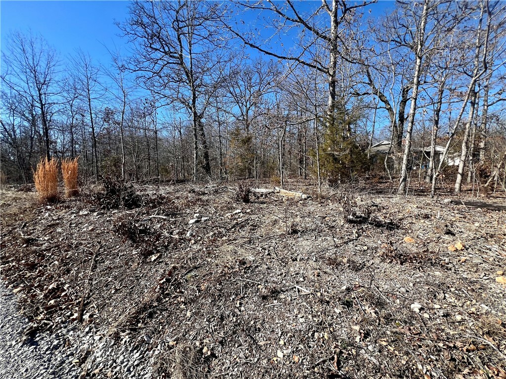 Property Photo:  Tbd- Lot 8 Roxburgh Drive  AR 72715 