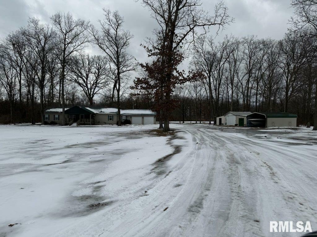 Property Photo:  22243 N Douthit Lane  IL 62830 