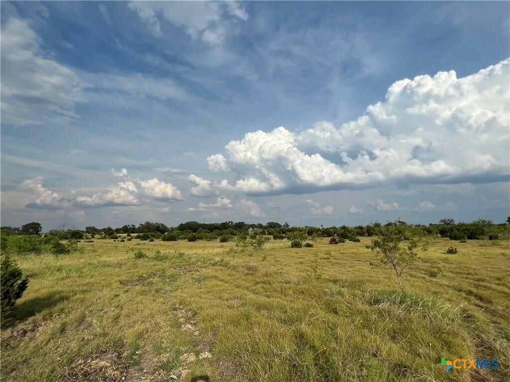 Property Photo:  Tbd County Road 421  TX 76525 