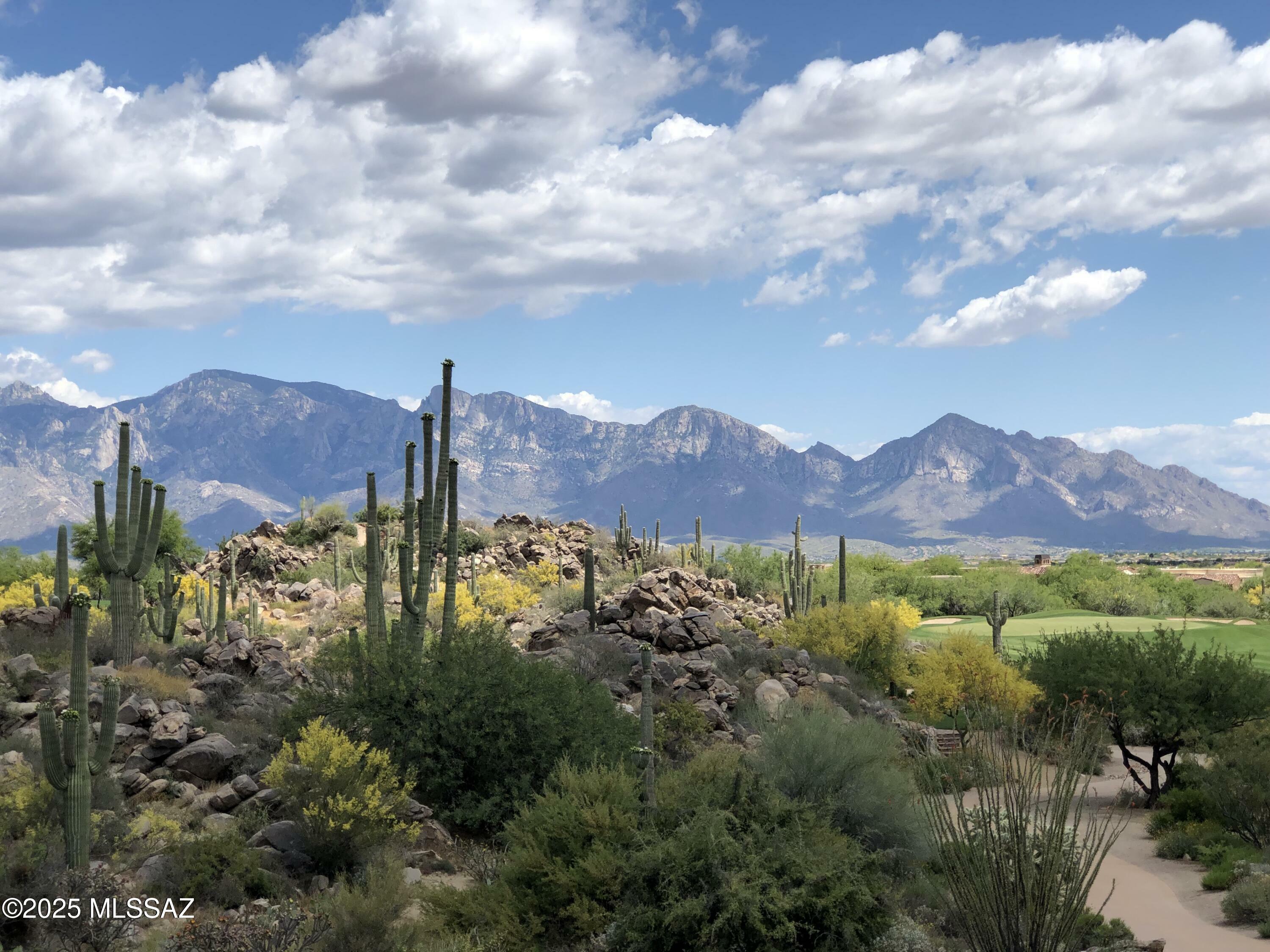 Property Photo: 1194 W Tortolita Mountain Circle 194 AZ 85755
