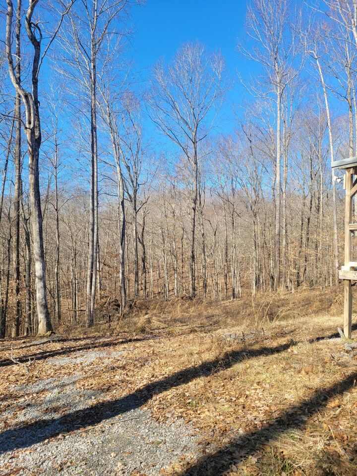 Property Photo: 165 Broyles Lane KY 42728