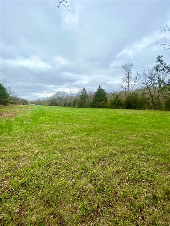 Lot 1 Old Capps Road  Harrison AR 72601 photo