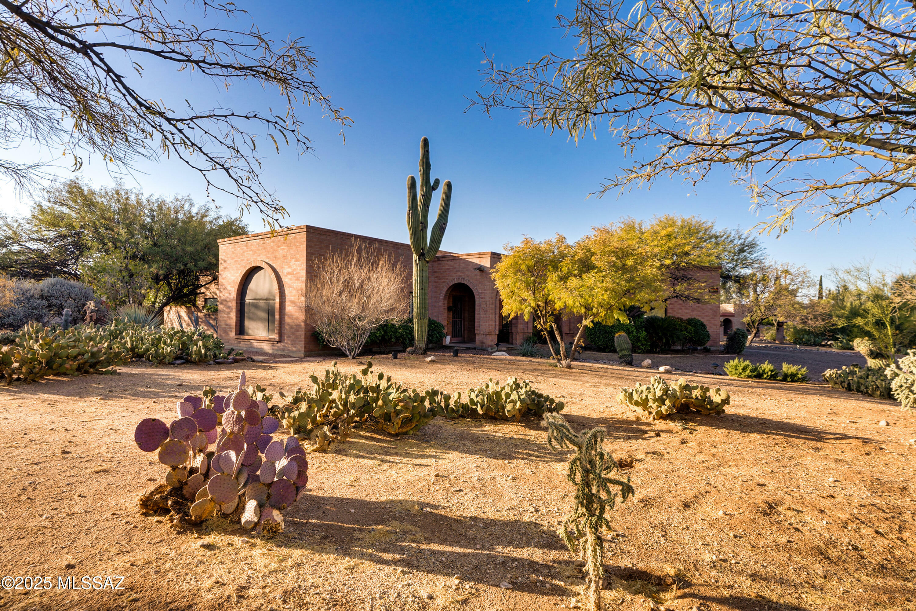 Property Photo:  1151 W Chula Vista Road  AZ 85704 