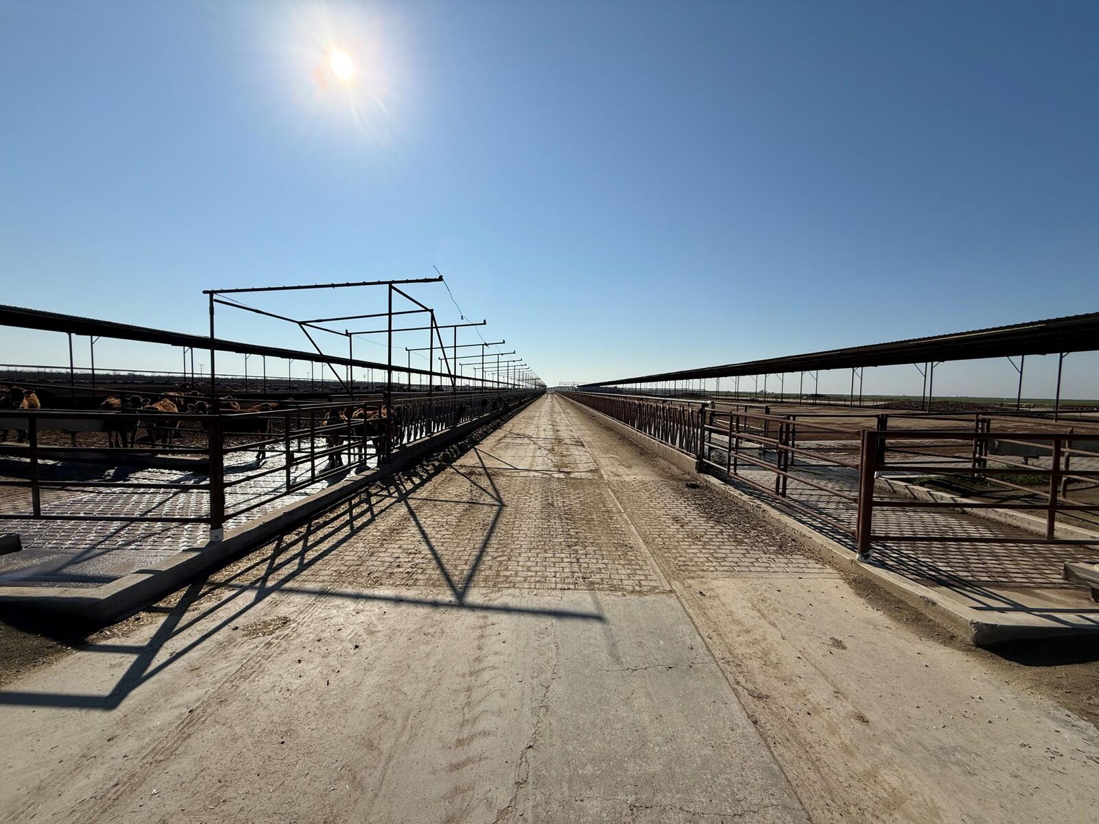 Property Photo:  11951 Rd 96  CA 93256 