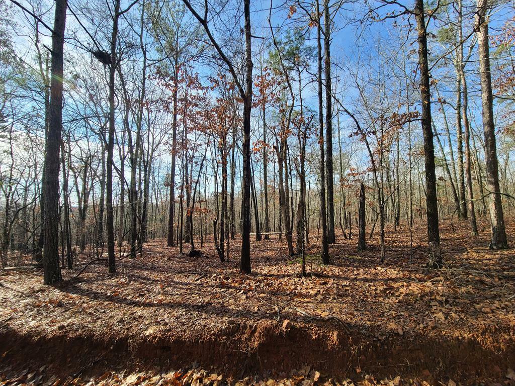 Property Photo:  Blk 34 Lot 6 Juniper Way  GA 31831 