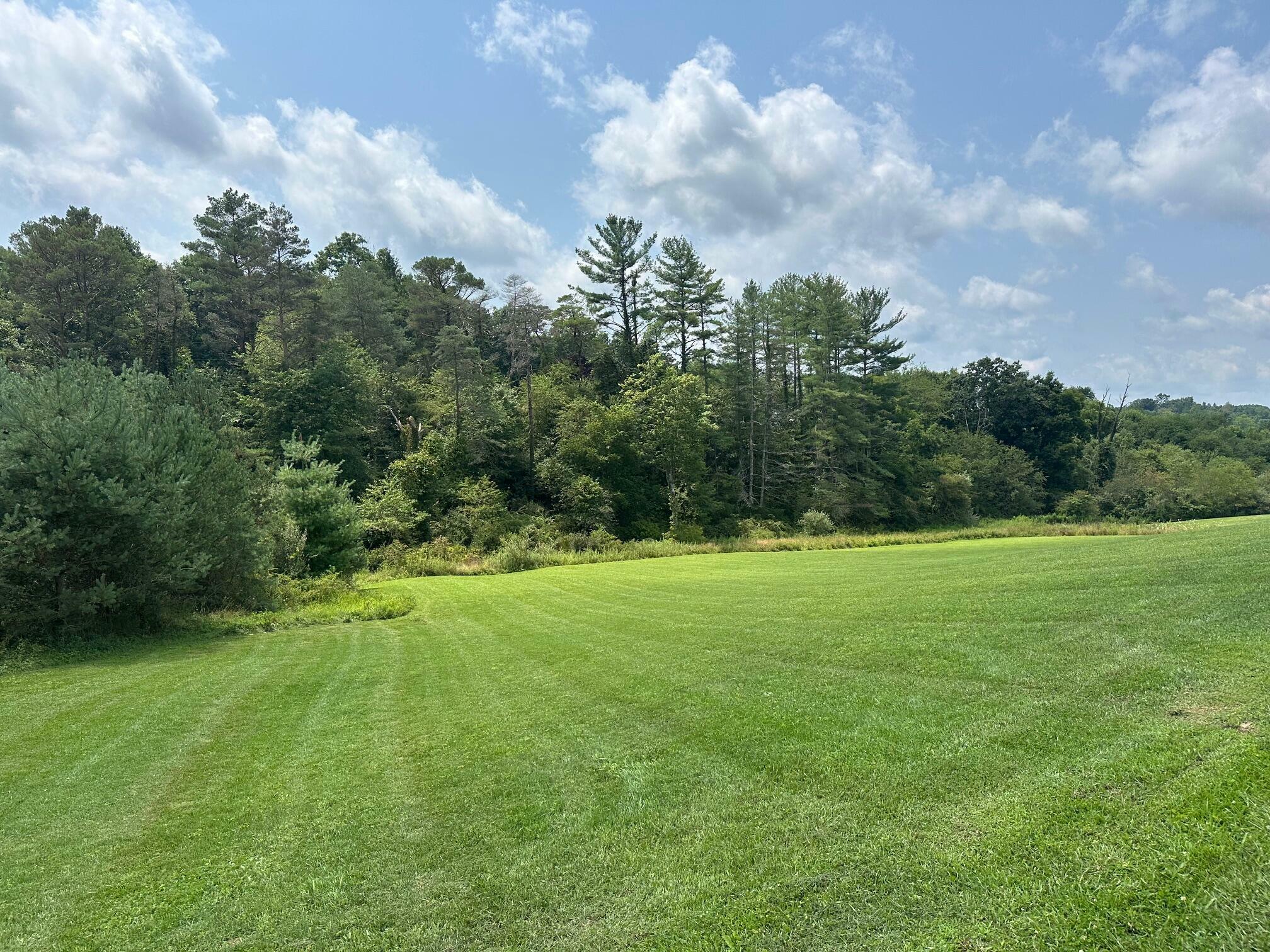 Property Photo:  Lot 1 Red Bank Hills  WV 24938 