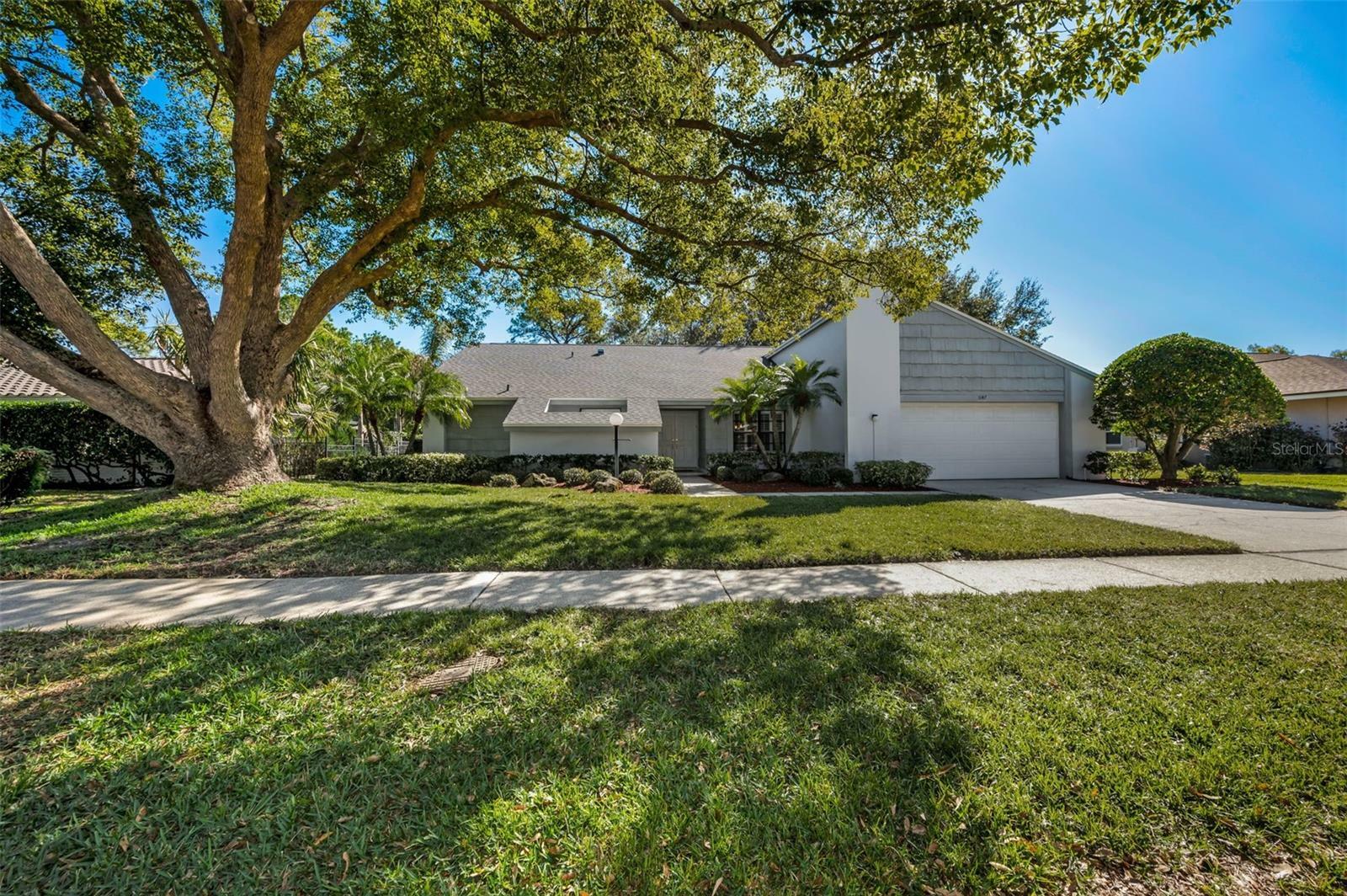 Property Photo:  3147 Hyde Park Drive  FL 33761 