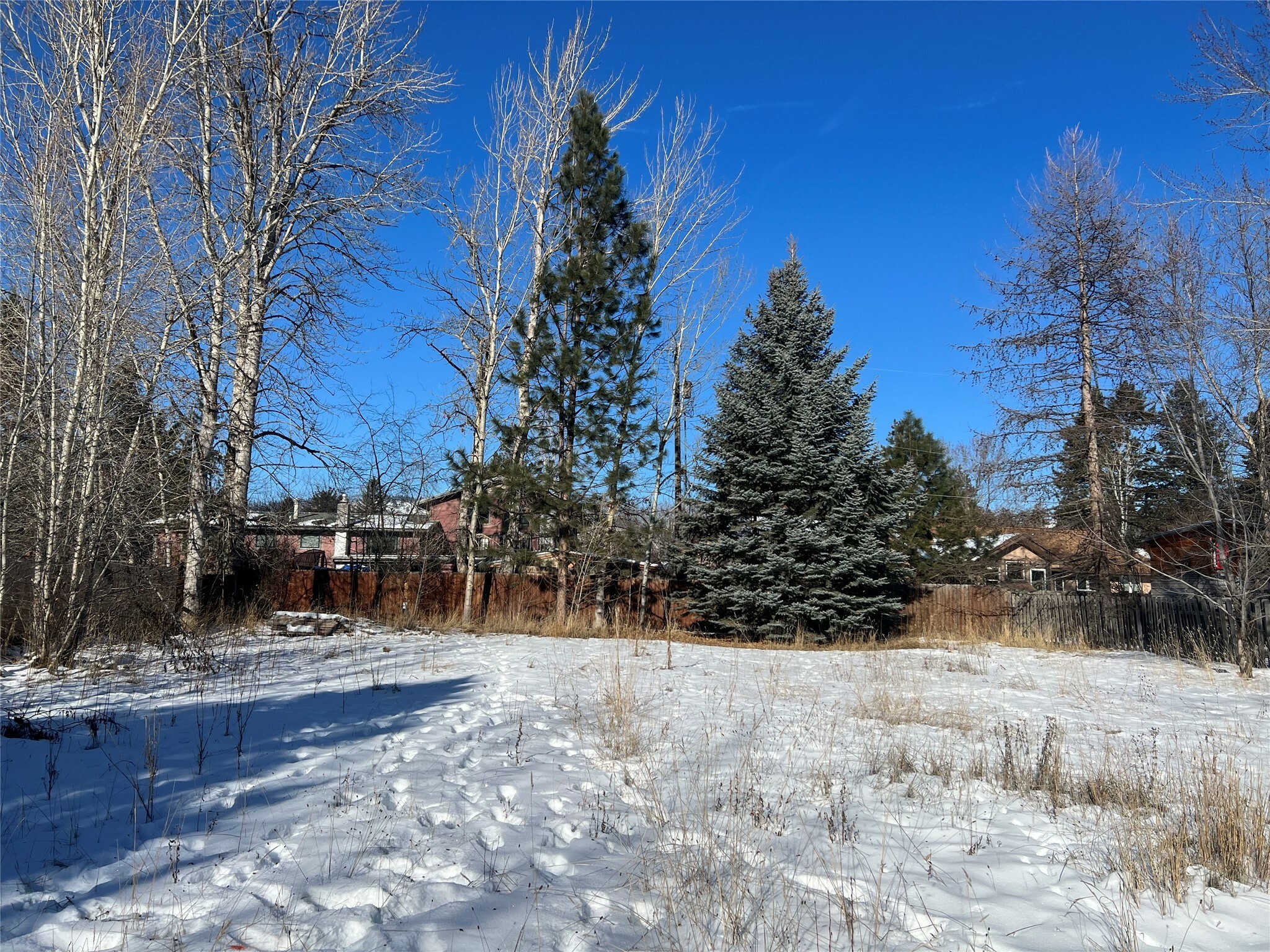 Property Photo:  Nhn Dickinson Street  MT 59802 