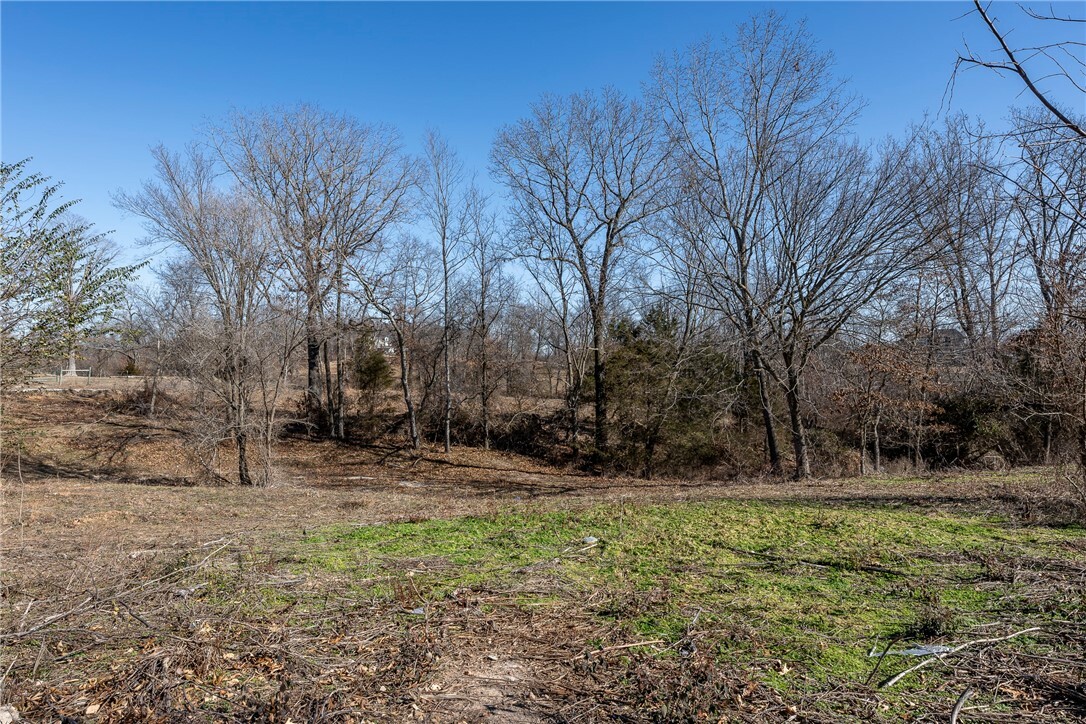 Property Photo:  Tbd - Track 3 Stillhouse Springs Road  AR 72713 