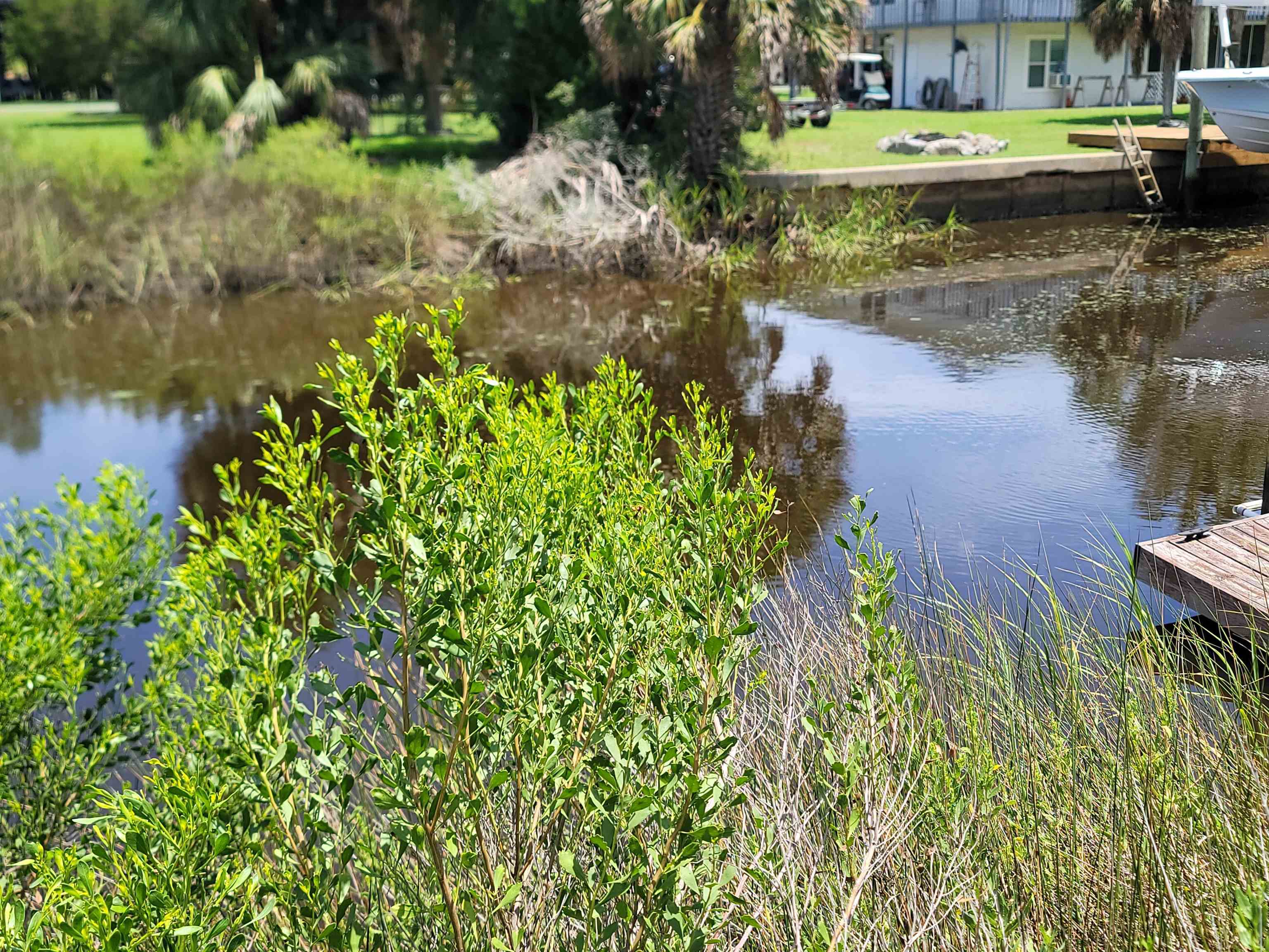 Property Photo:  Lot 26 Blue Heron Way --  FL 32346 