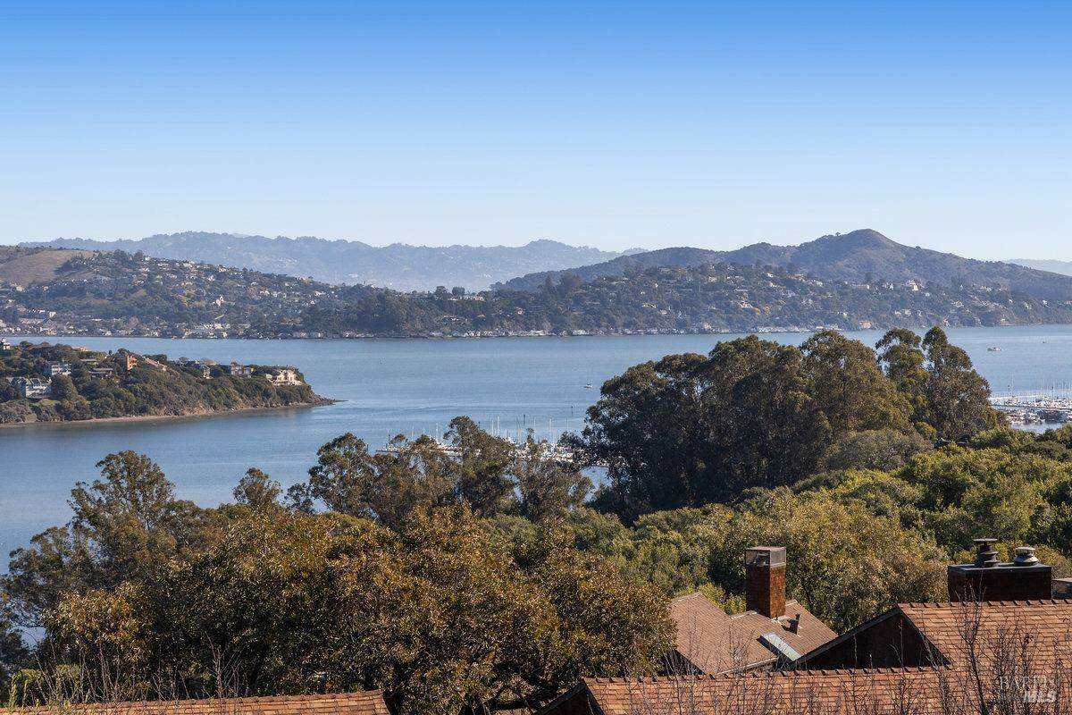 397 Headlands Court  Sausalito CA 94965 photo