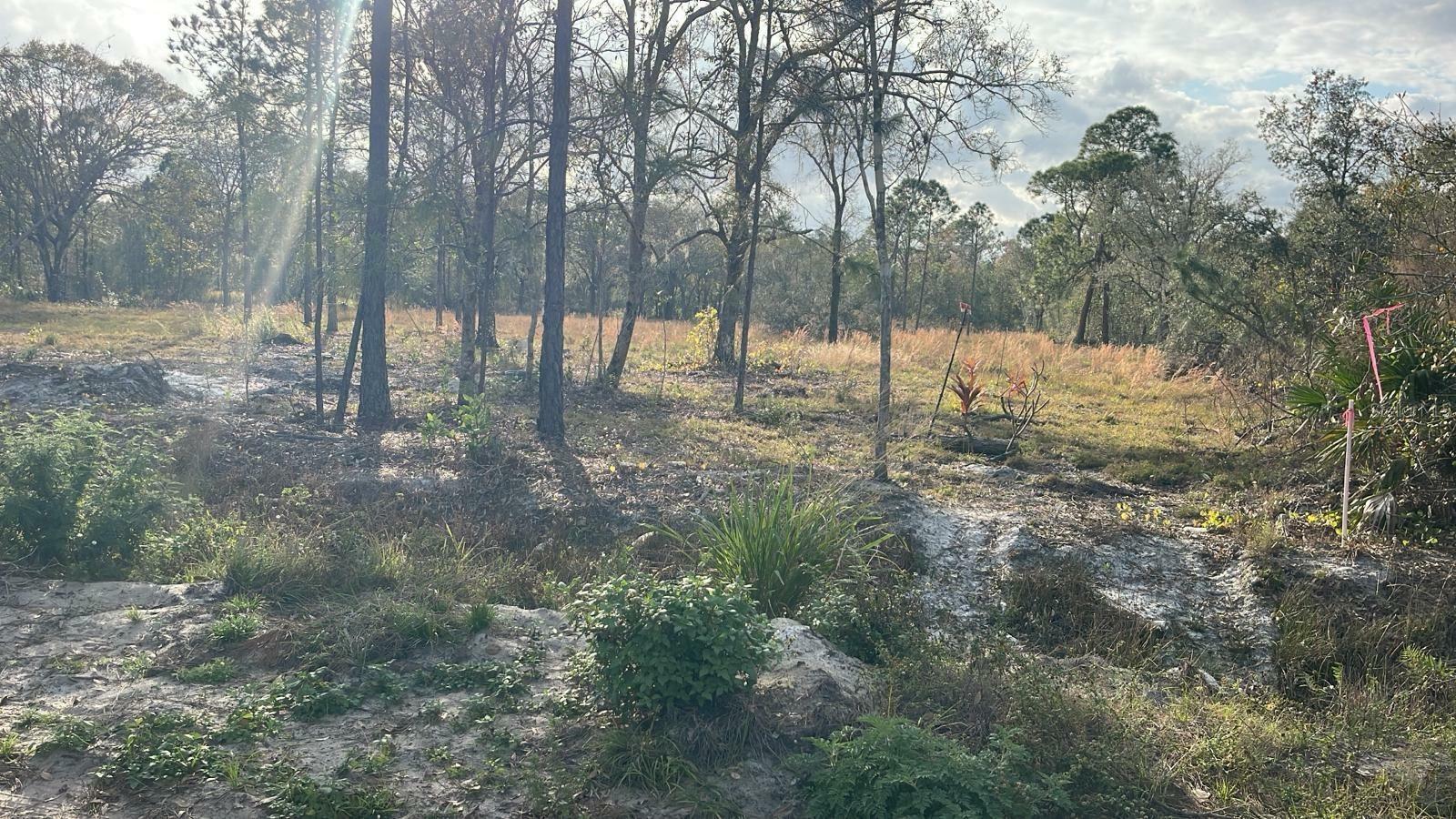 Property Photo:  Kelly Ridge Road  FL 33843 