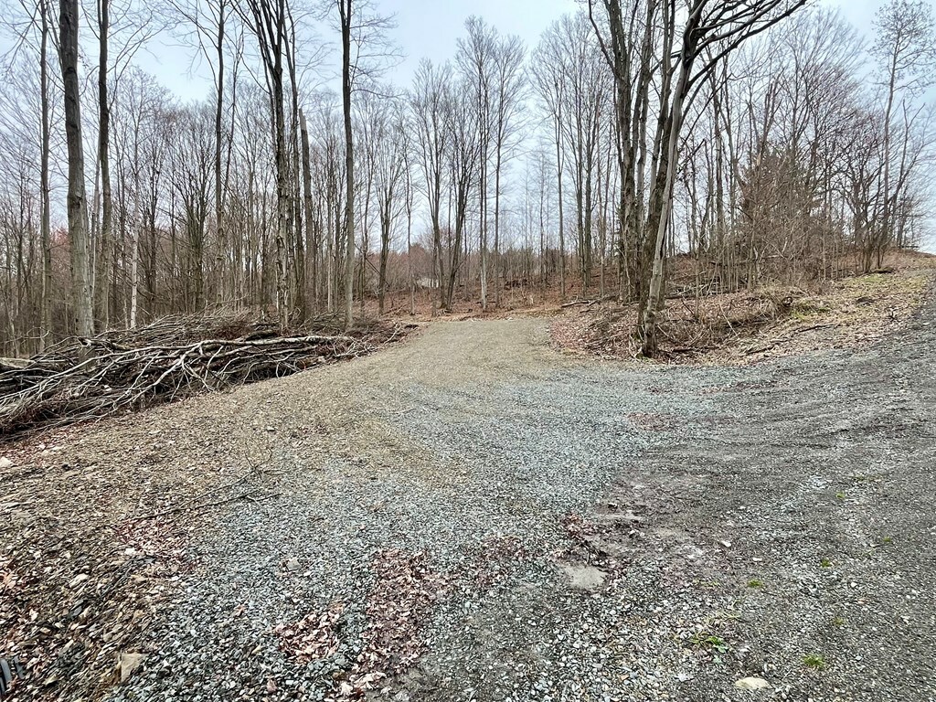 Property Photo: 000 Hall Rd PA 16914
