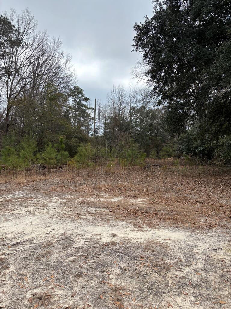 Property Photo: 116 Nandina Drive SC 29150