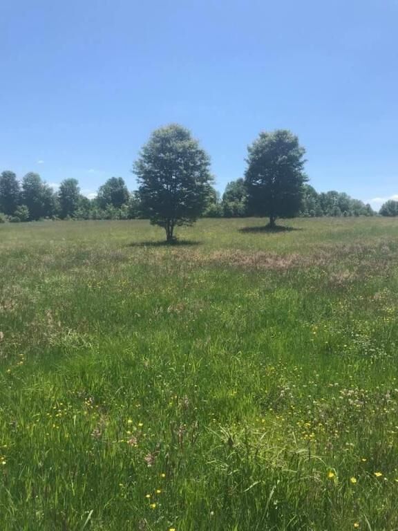 Property Photo:  00 Rose Road  NY 14830 