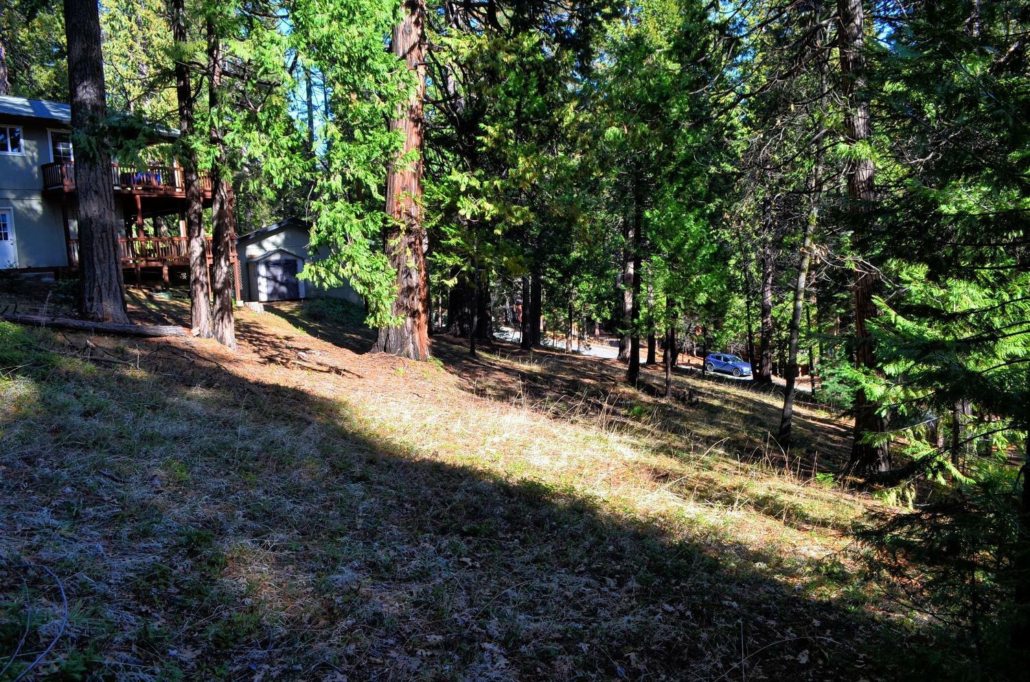 Property Photo:  594 Dean Way  CA 95223 