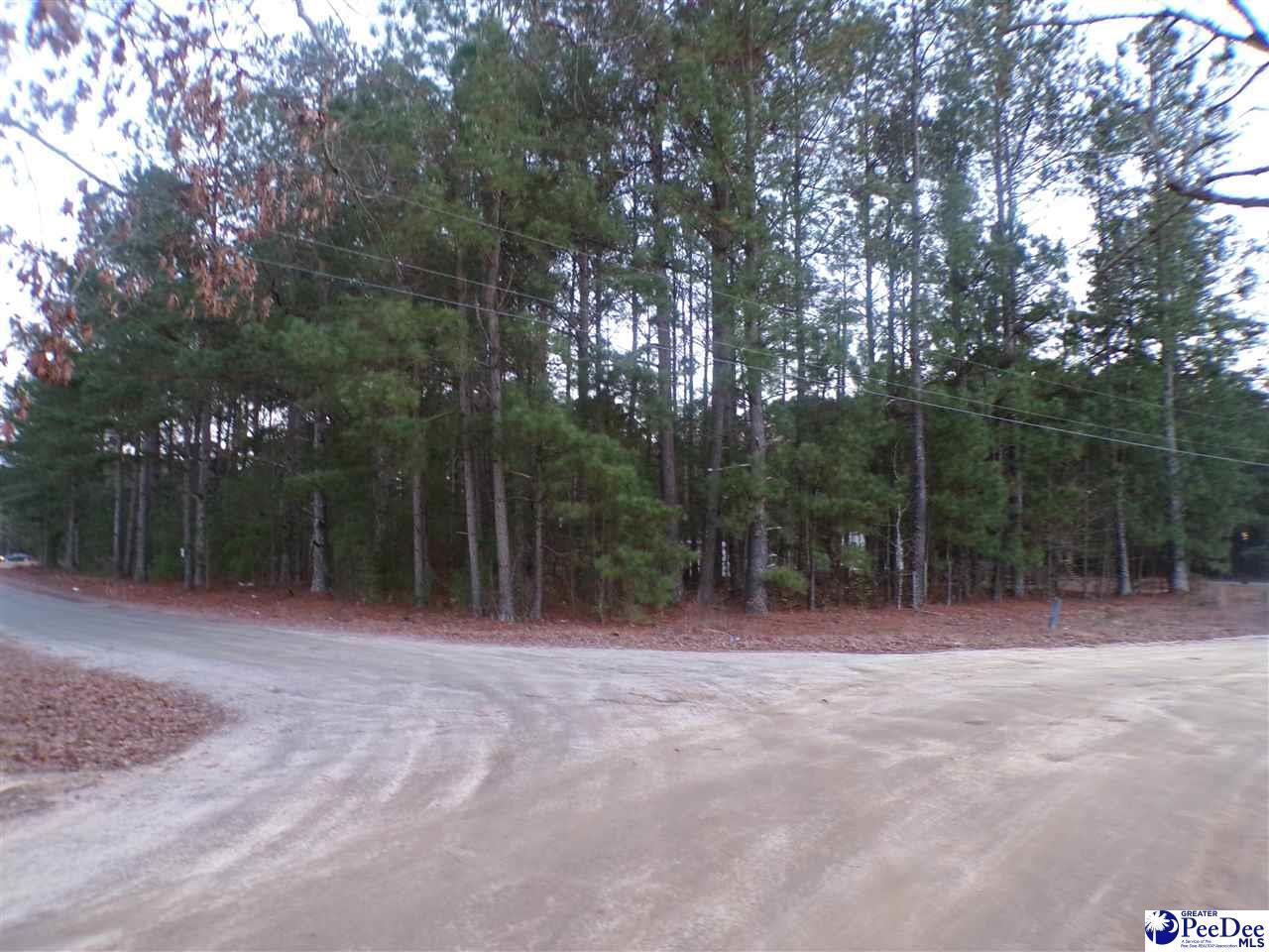 Property Photo: Tbd New Holly &Amp Millwood SC 29536