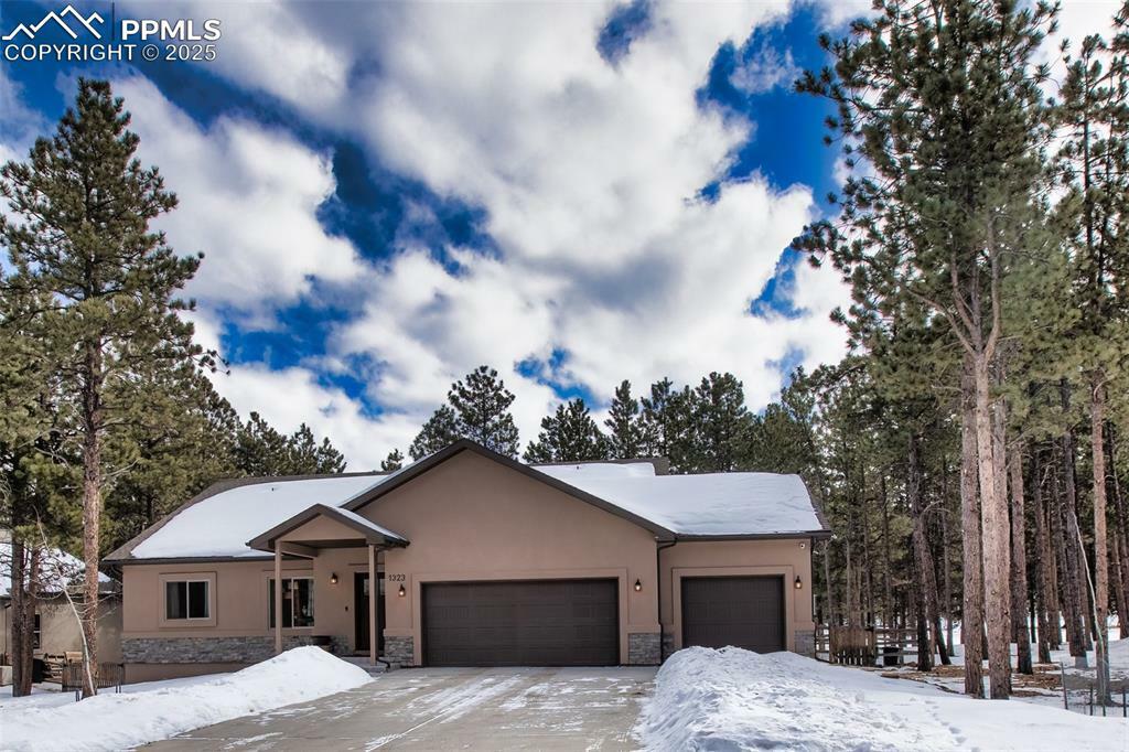 Property Photo:  1323 Firestone Drive  CO 80863 