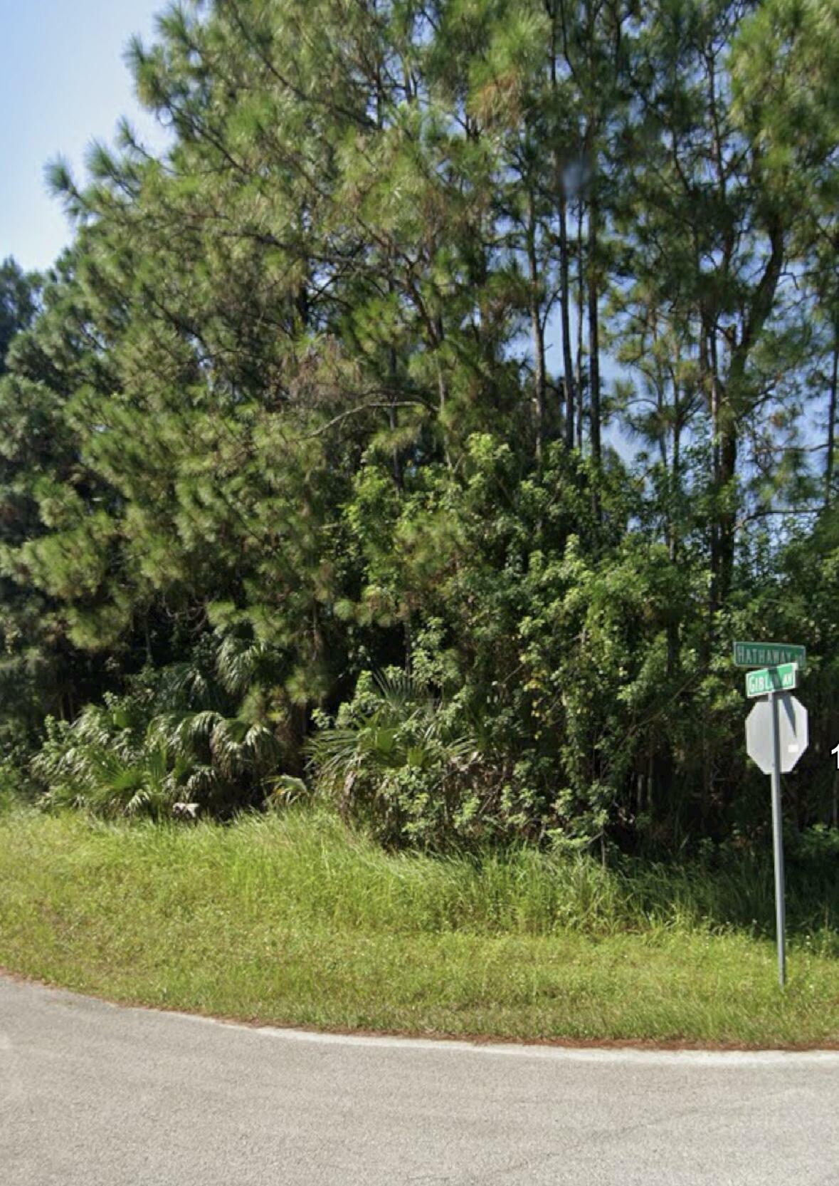 Property Photo:  Xxxxx Hathaway Road SW  FL 32908 