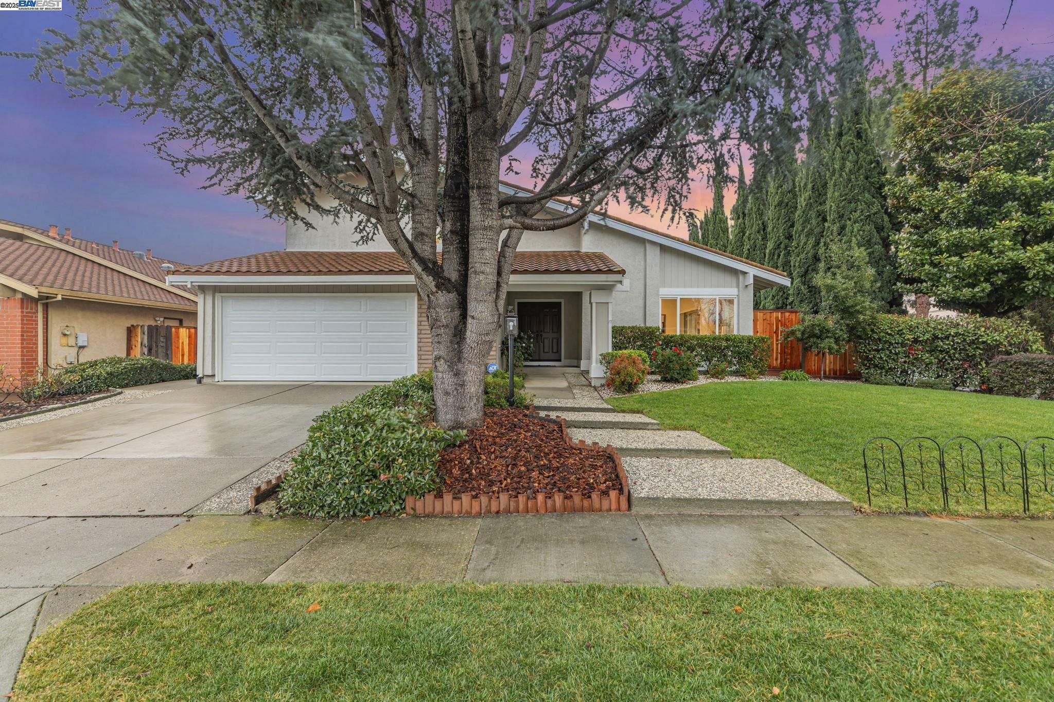 820 Optimo Ave  Fremont CA 94539 photo