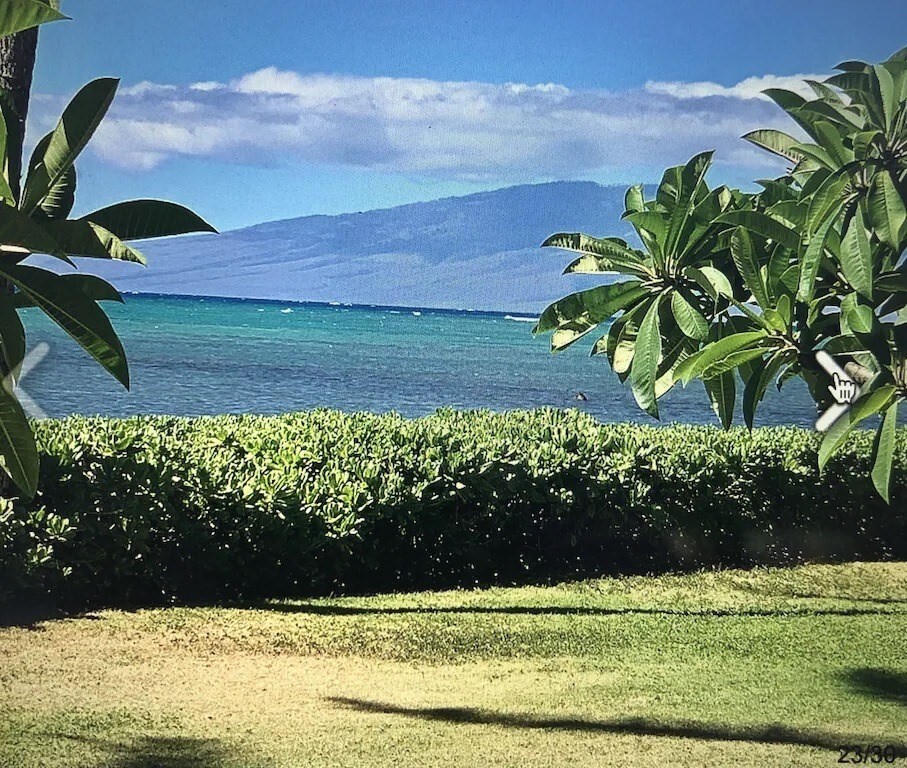 Property Photo: 7142 Kamehameha V Hwy A112 HI 96748