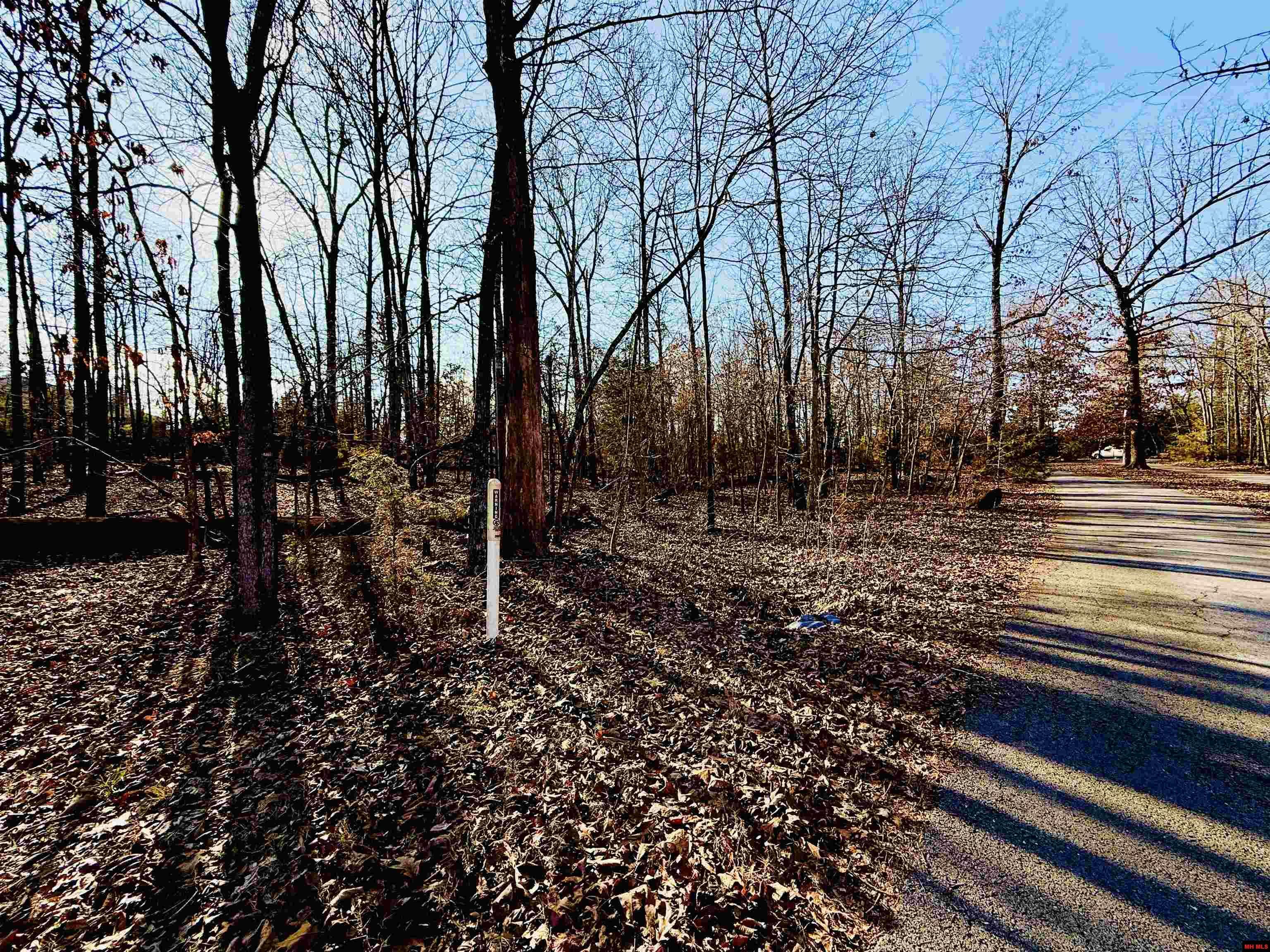 Property Photo: Lots 1-3 Kingwood Circle AR 72619