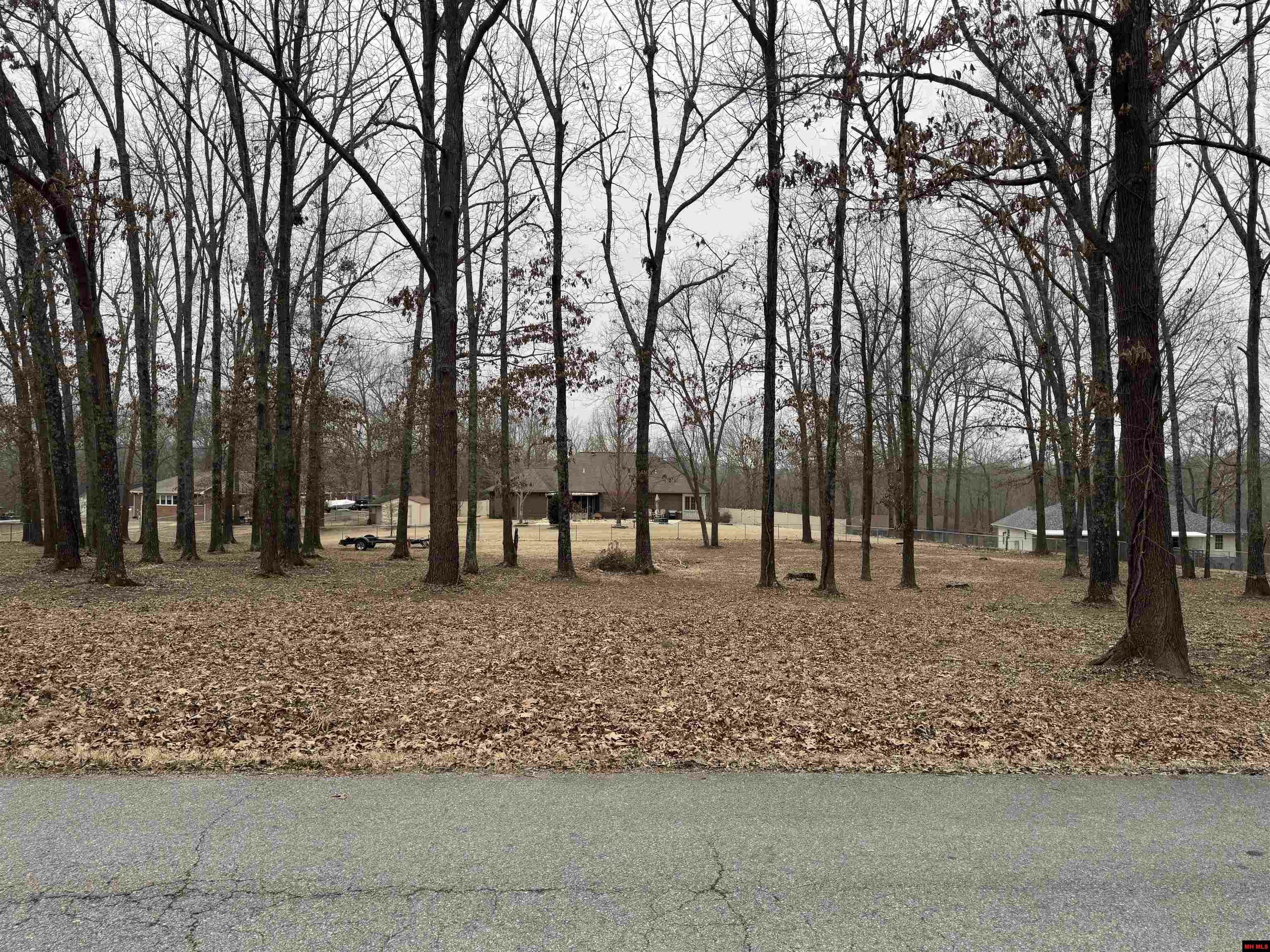 Property Photo: Lot 46 Aspen Drive AR 72653