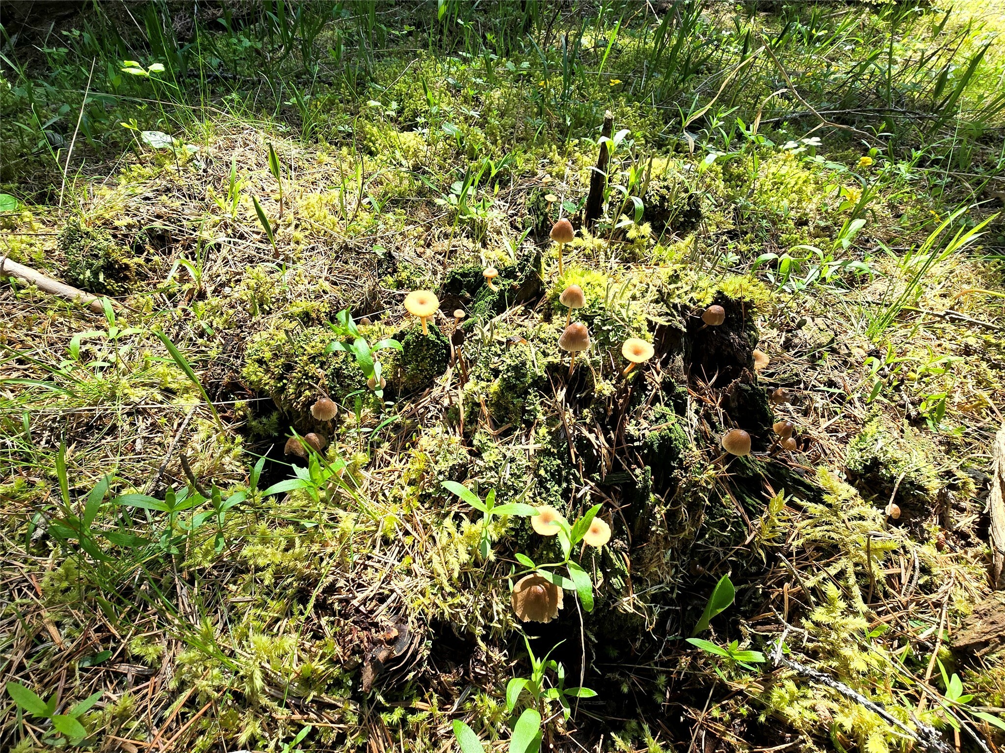 Property Photo: Lot 2 Bayside Lane MT 59874