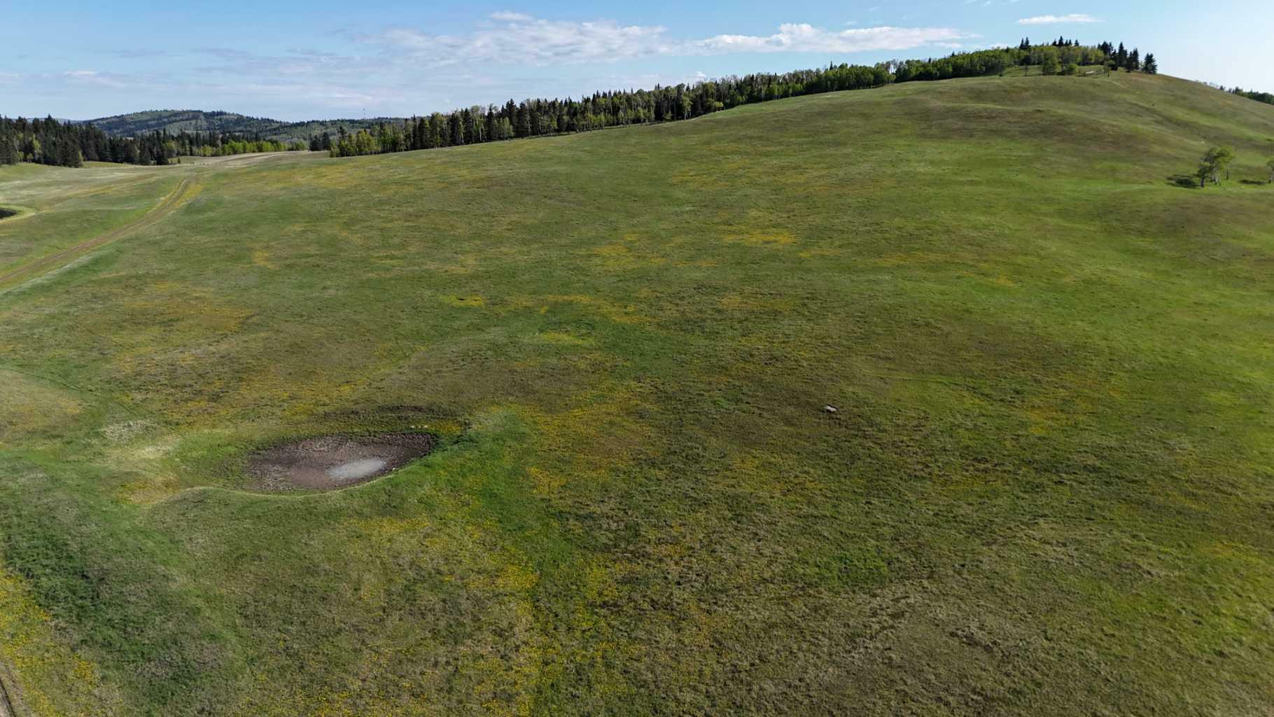 Property Photo:  130 Acres Plummers Road W  AB T0L 1K0 