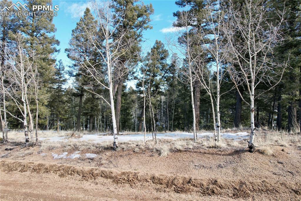 Property Photo:  278 Cherry Lake Drive  CO 80814 