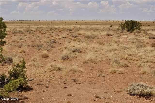 Property Photo:  Tbd Woodridge Ranch #13  AZ 85937 