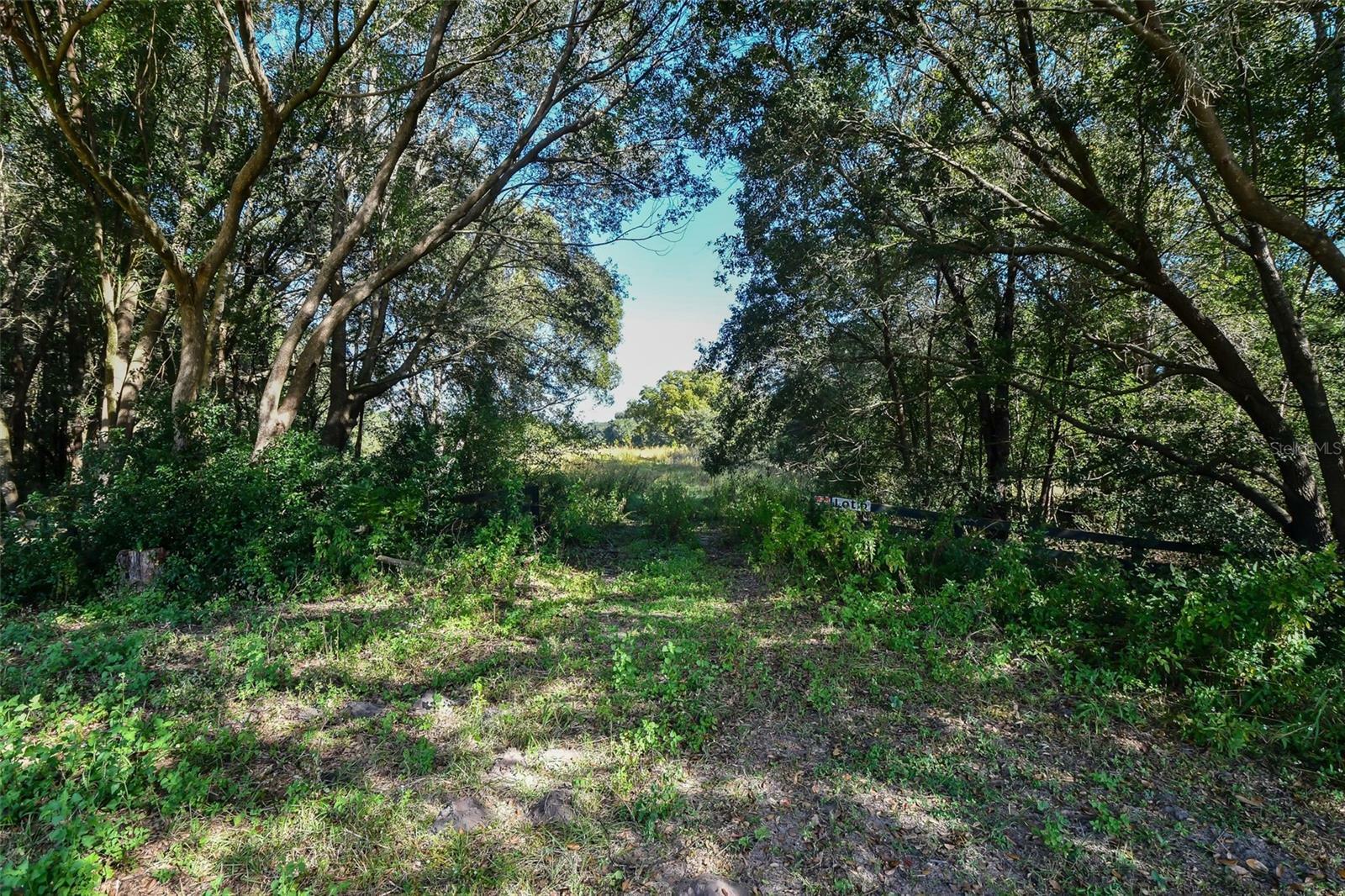 Property Photo:  Tree Frog Lane  FL 32736 