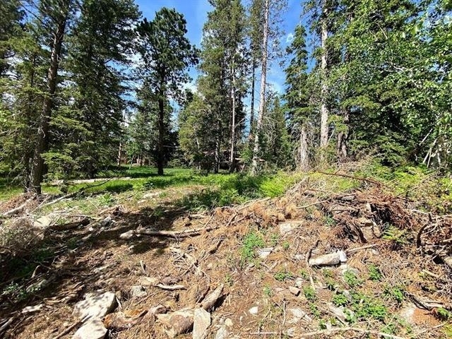 Property Photo:  Lot 24 Blue Sky Loop  SD 57754 