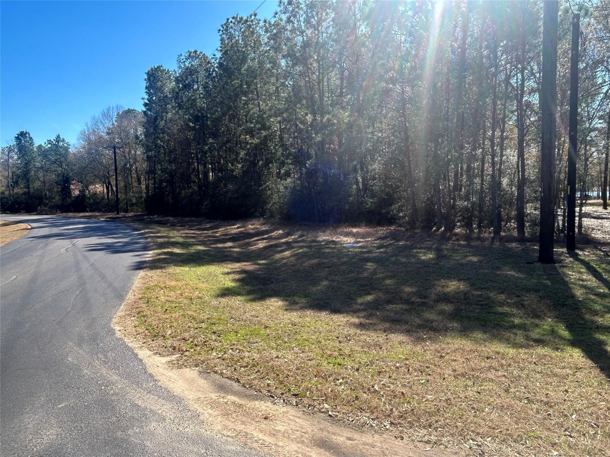 Property Photo: 17760 Saddle Horn Drive TX 77484