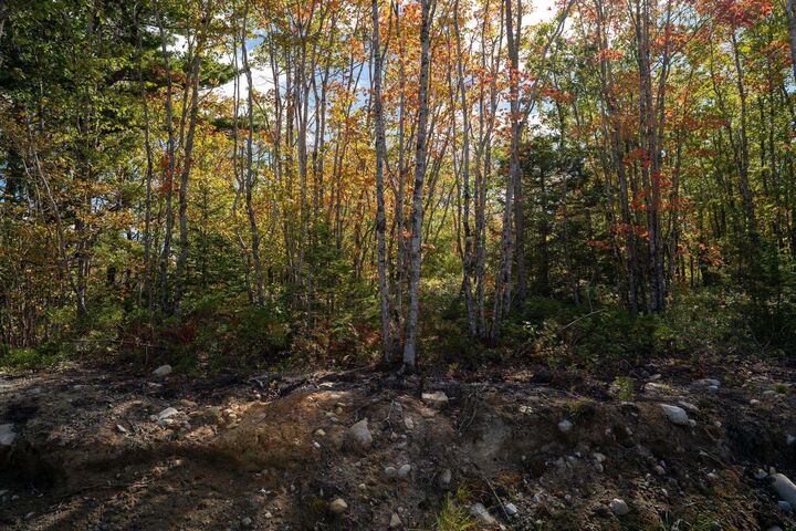 88 Morton Drive — photo 1