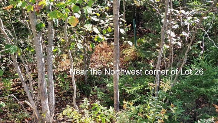 Property Photo:  Lot 26 Spring Tide Lane  NS B0M 1S0 