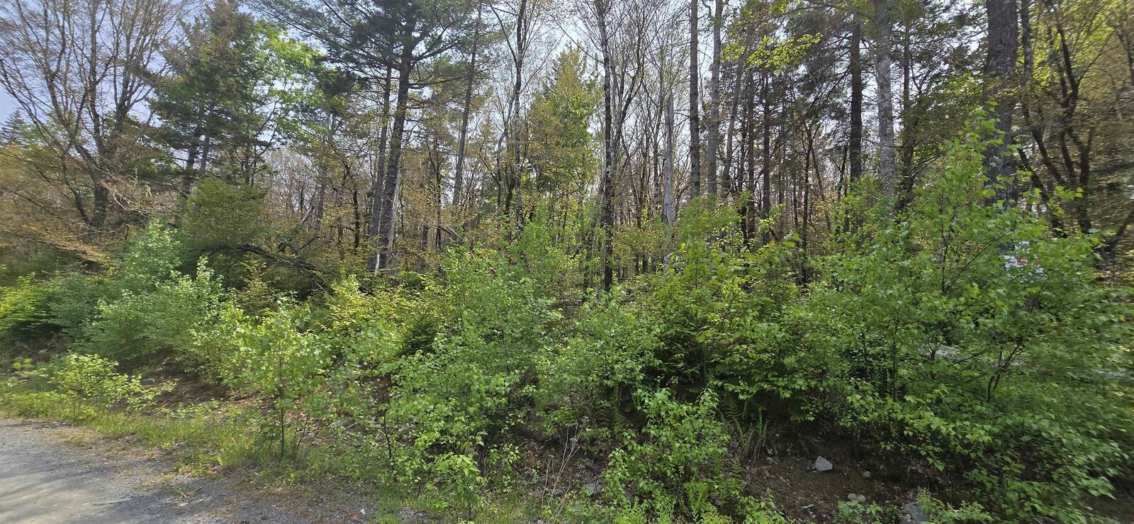 Property Photo:  Lot 4 Nathan Croft Road Camperdown Meadows  NS B4V 6T9 