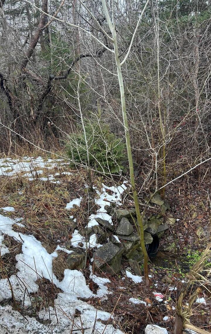 Property Photo:  Lot Beeches Road  NS B0K 1H0 