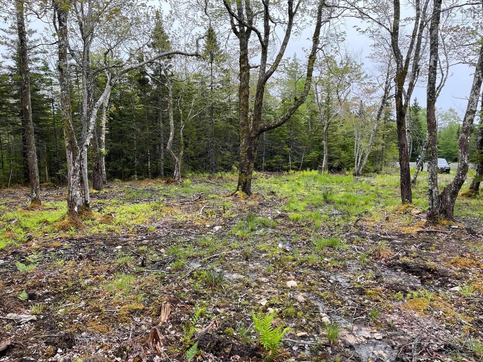 Property Photo:  Lot 1A-81 Maple Drive  NS B0E 3B0 
