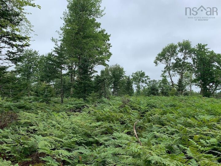Property Photo:  Lot 5 Pleasant River Preserve  NS B0T 1X0 