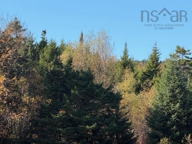 Property Photo:  100 Acres Spencers Beach (Hwy 209) Road  NS B0M 1S0 
